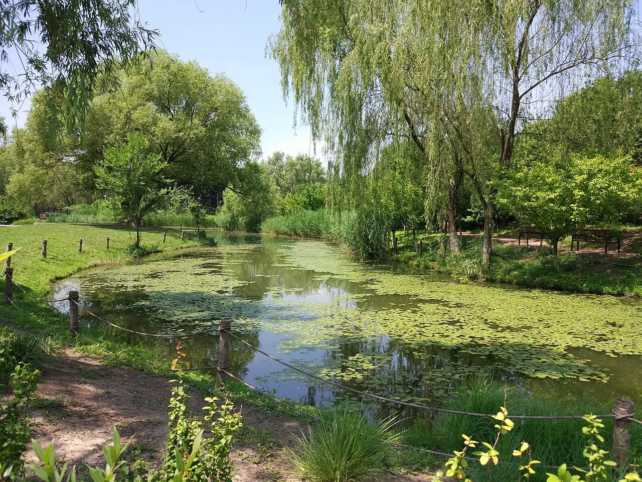 Olympic Forest Park Full Loop — a 3.87 km walking route along real pedestrian paths