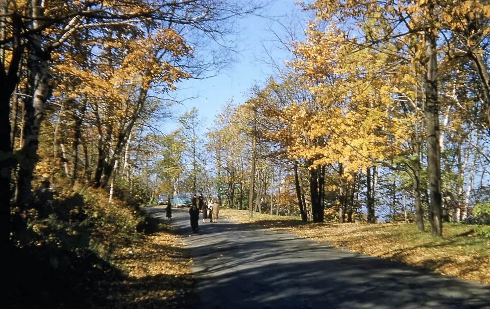 Mount Royal Lower Accessible Routes — a 2.27 km walking route along real pedestrian paths