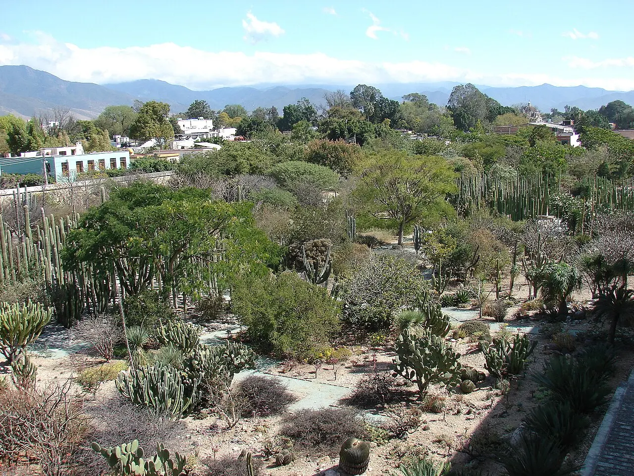 Mexico City Botanical Garden Walk — a 4.34 km walking route along real pedestrian paths