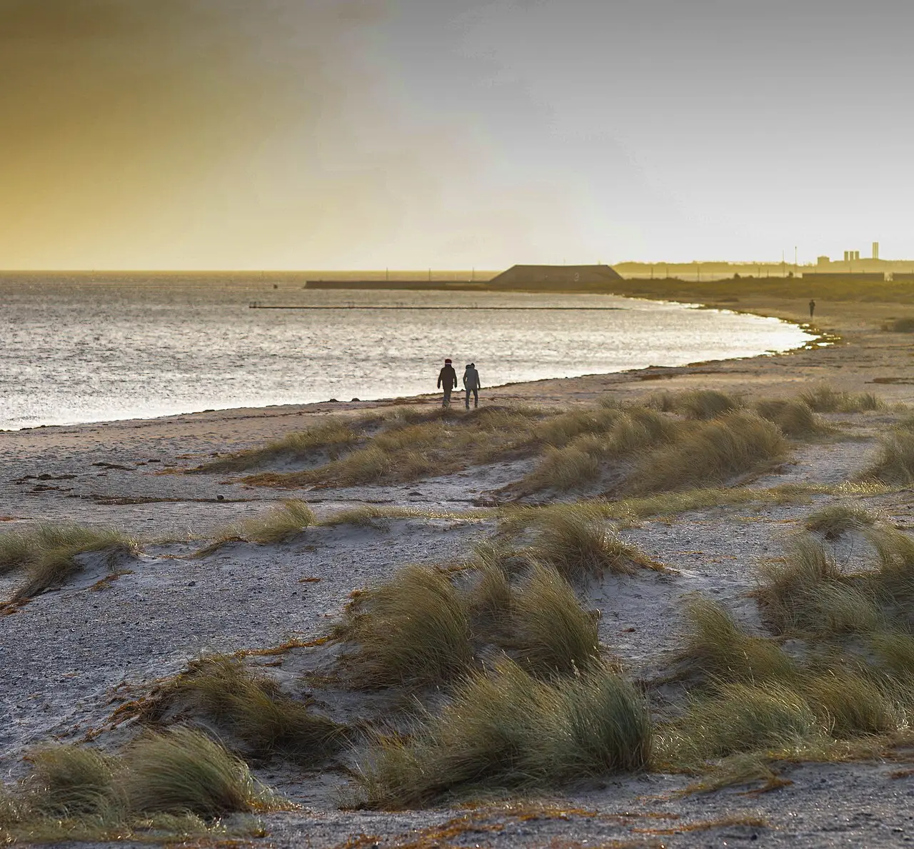 Amager Strandpark Beach Walk — a 6.24 km walking route along real pedestrian paths