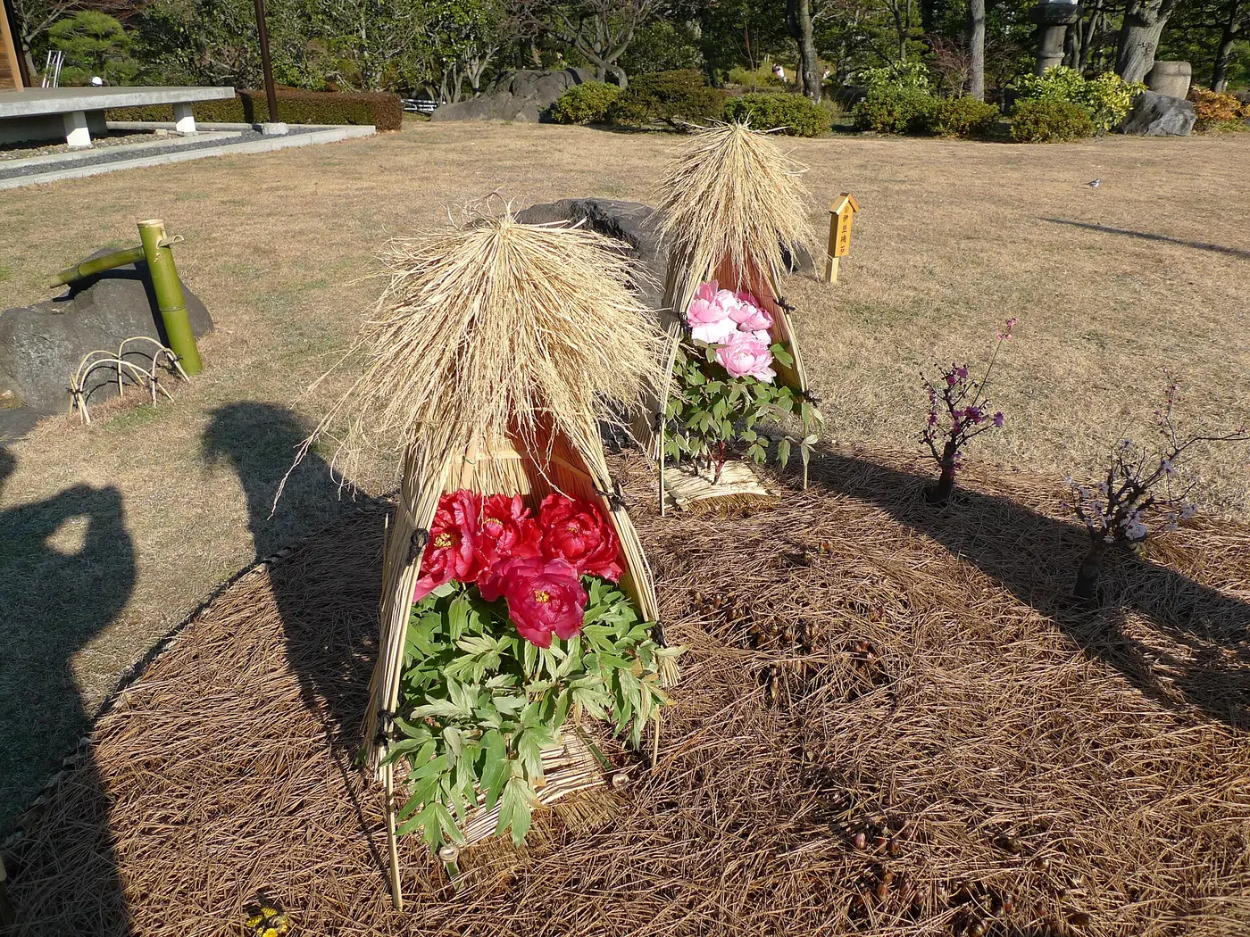 Kiyosumi Teien Garden Presence Loop — a 1.28 km walking route along real pedestrian paths