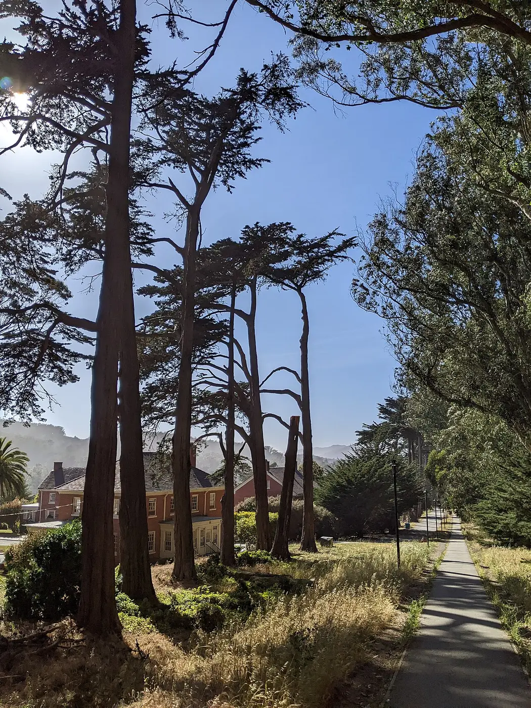The Presidio Quiet Paths — a 8.06 km walking route along real pedestrian paths