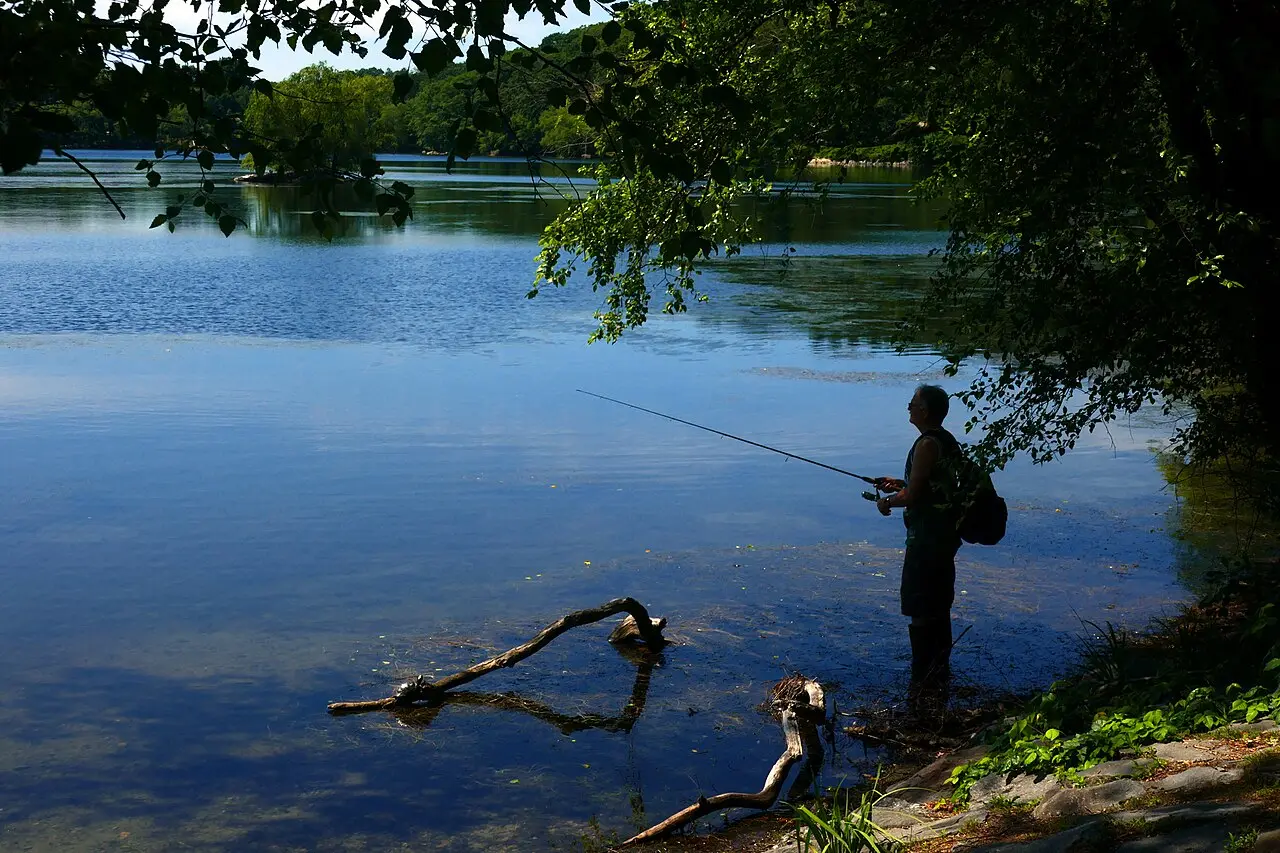 Jamaica Pond Loop — a 2.61 km walking route along real pedestrian paths