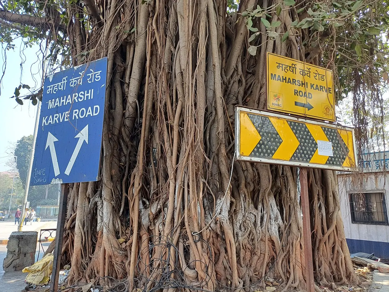 Marine Drive Full Arc — a 2.01 km walking route along real pedestrian paths