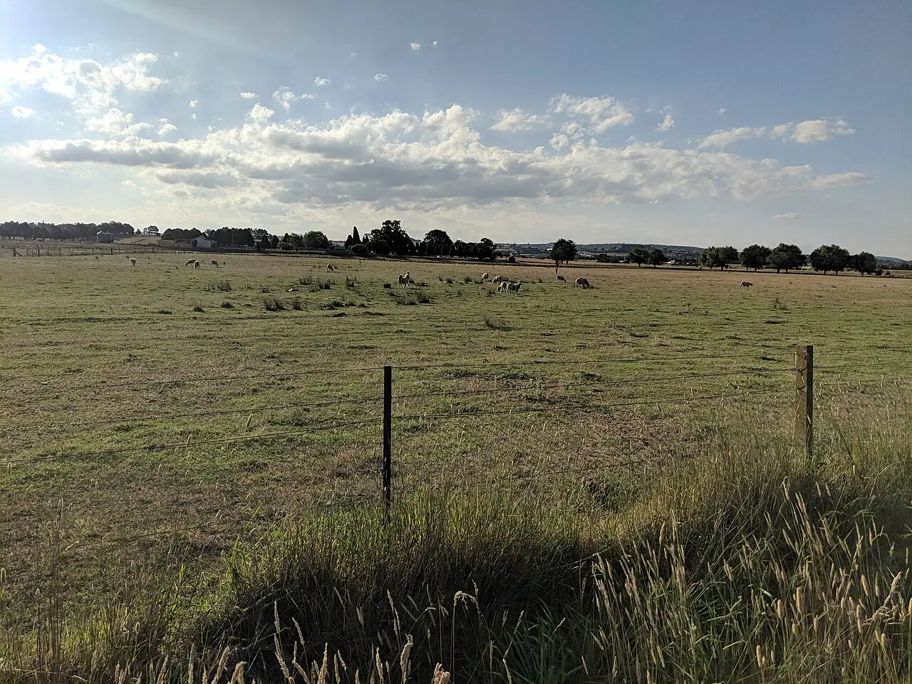 Brisbane Sunset Hill Ridge — a 10.93 km walking route along real pedestrian paths