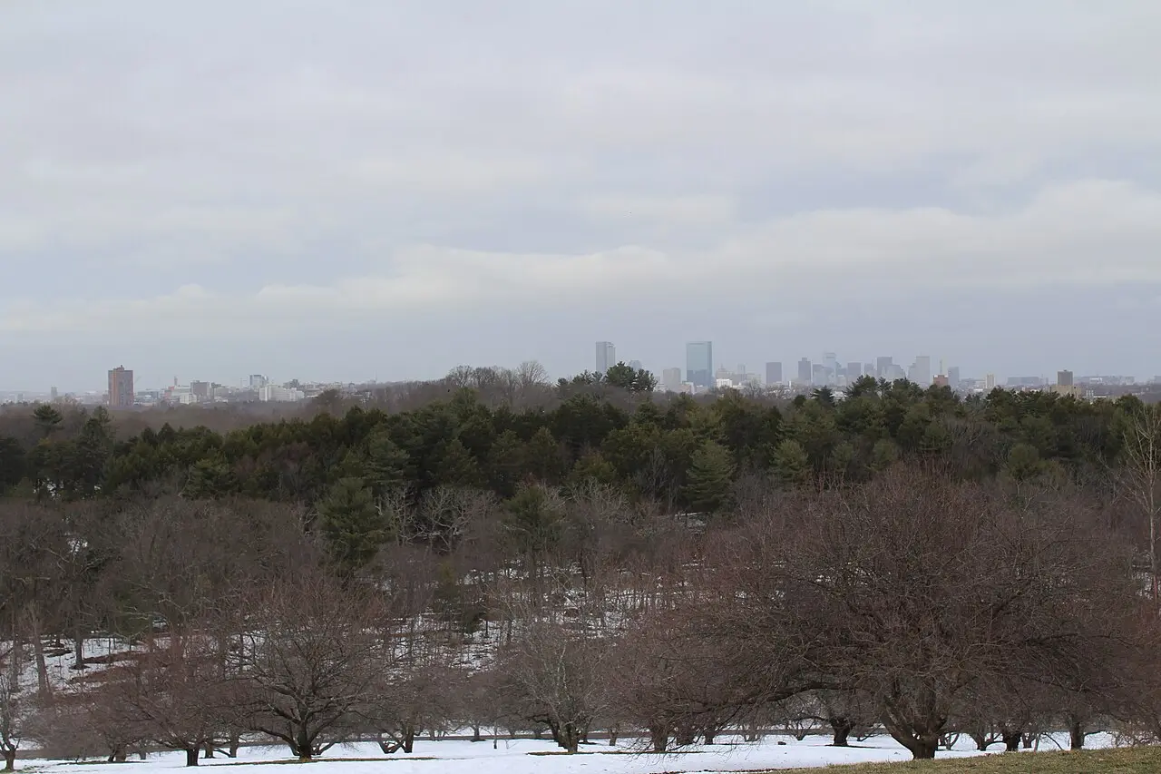 Arnold Arboretum — a 4.48 km walking route along real pedestrian paths
