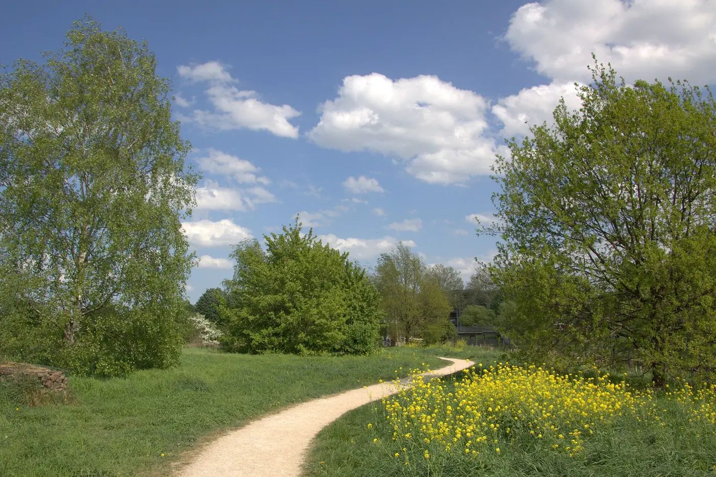 Singel Water Ring & Griftpark — a 5.61 km walking route along real pedestrian paths