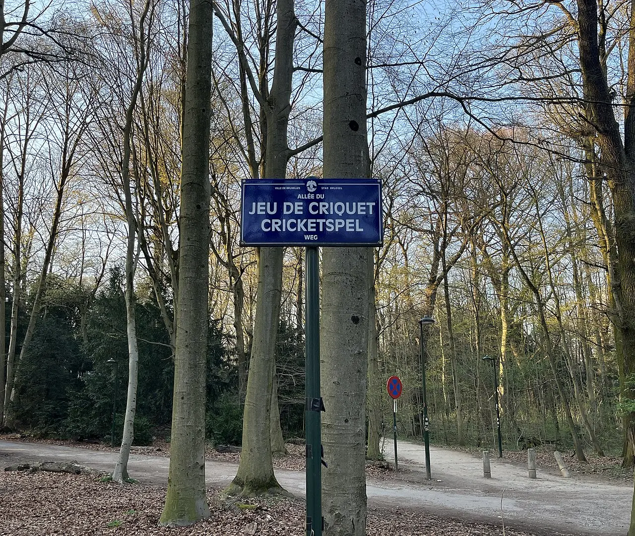 Bois de la Cambre Gentle Loop — a 5.14 km walking route along real pedestrian paths