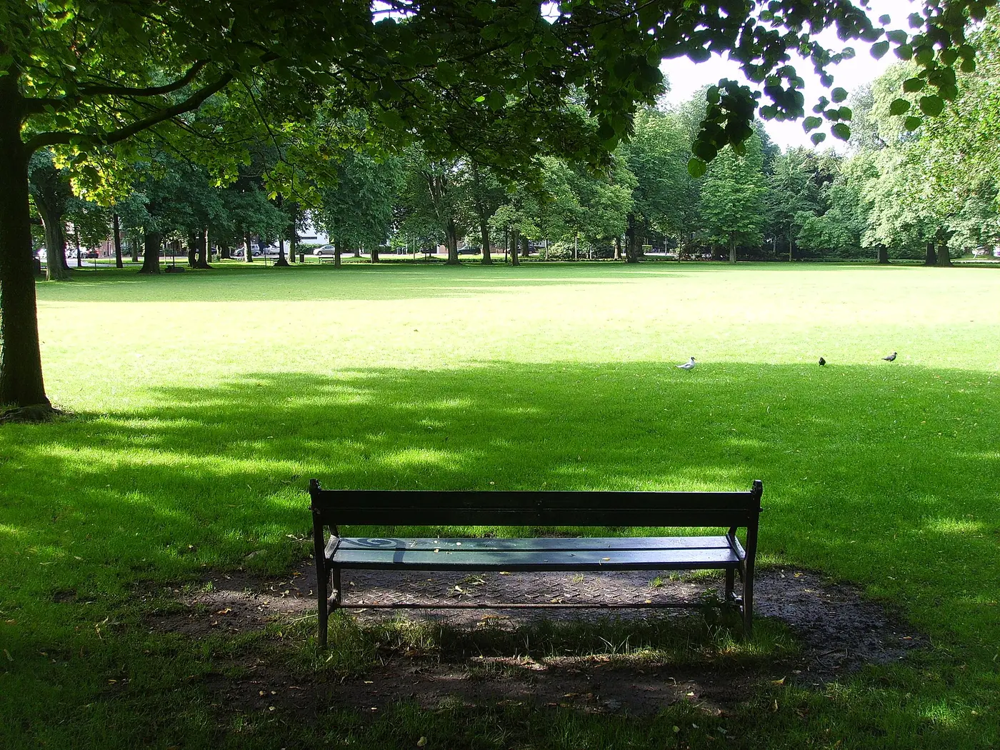 Wilhelminapark & East Edge — a 5.33 km walking route along real pedestrian paths