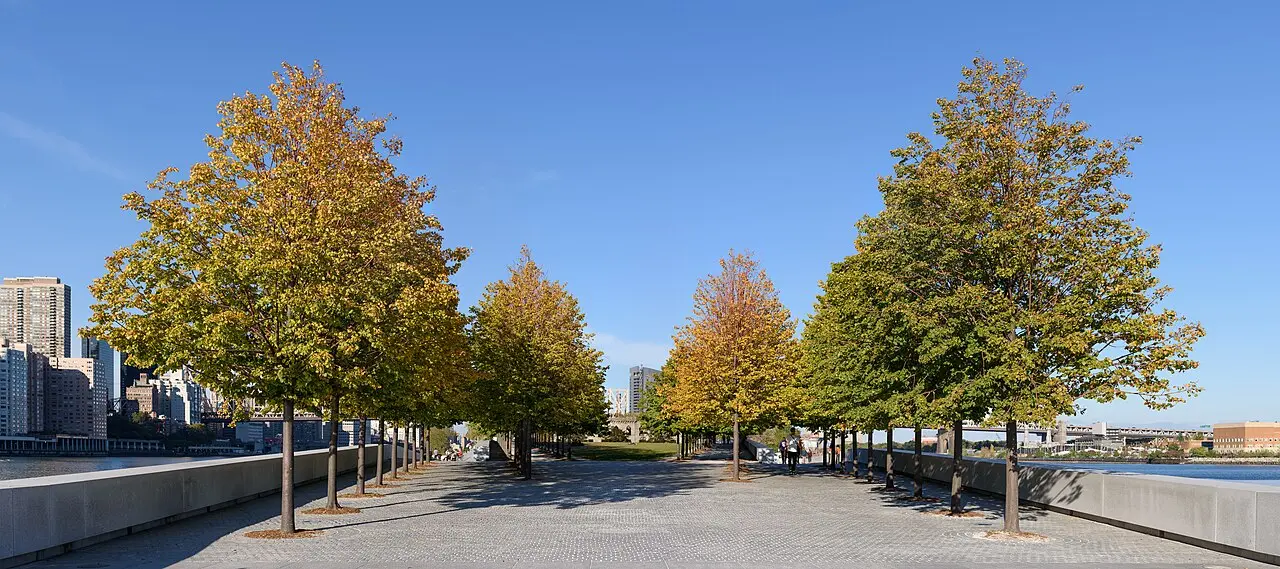 The High Line Full Walk — a 2.31 km walking route along real pedestrian paths