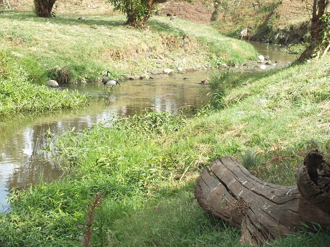 River Riverside Path — a 9.58 km walking route along real pedestrian paths
