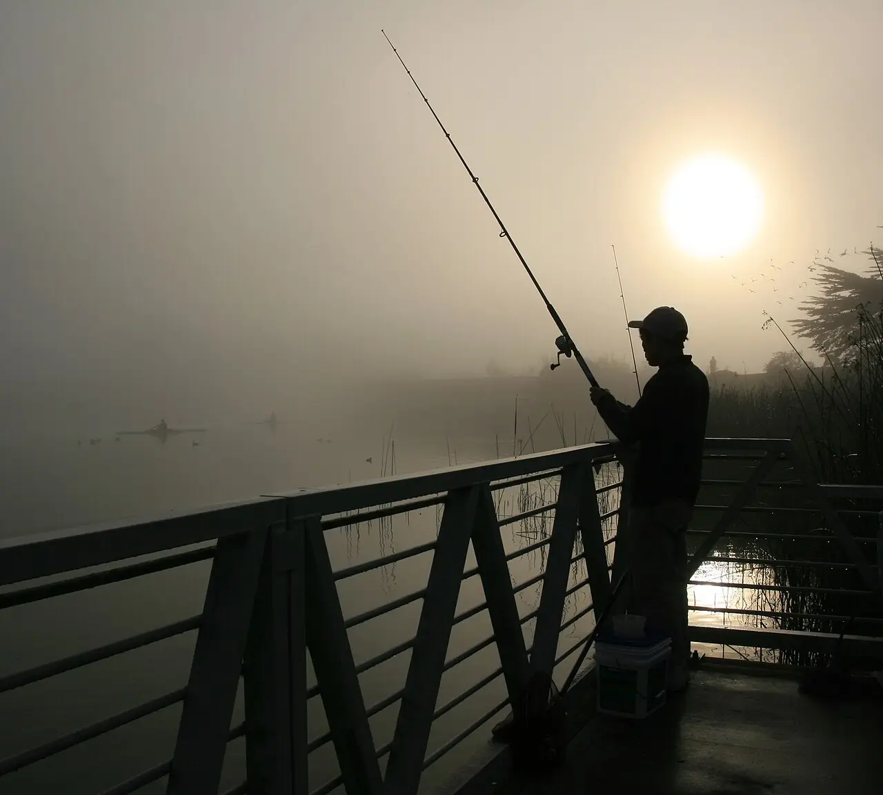 Lake Merced Gentle Circuit — a 8.63 km walking route along real pedestrian paths