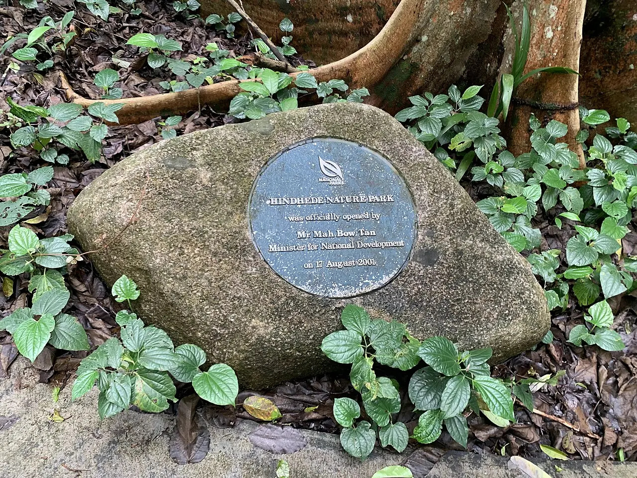 Bukit Timah Hindhede Quarry Loop — a 0.92 km walking route along real pedestrian paths