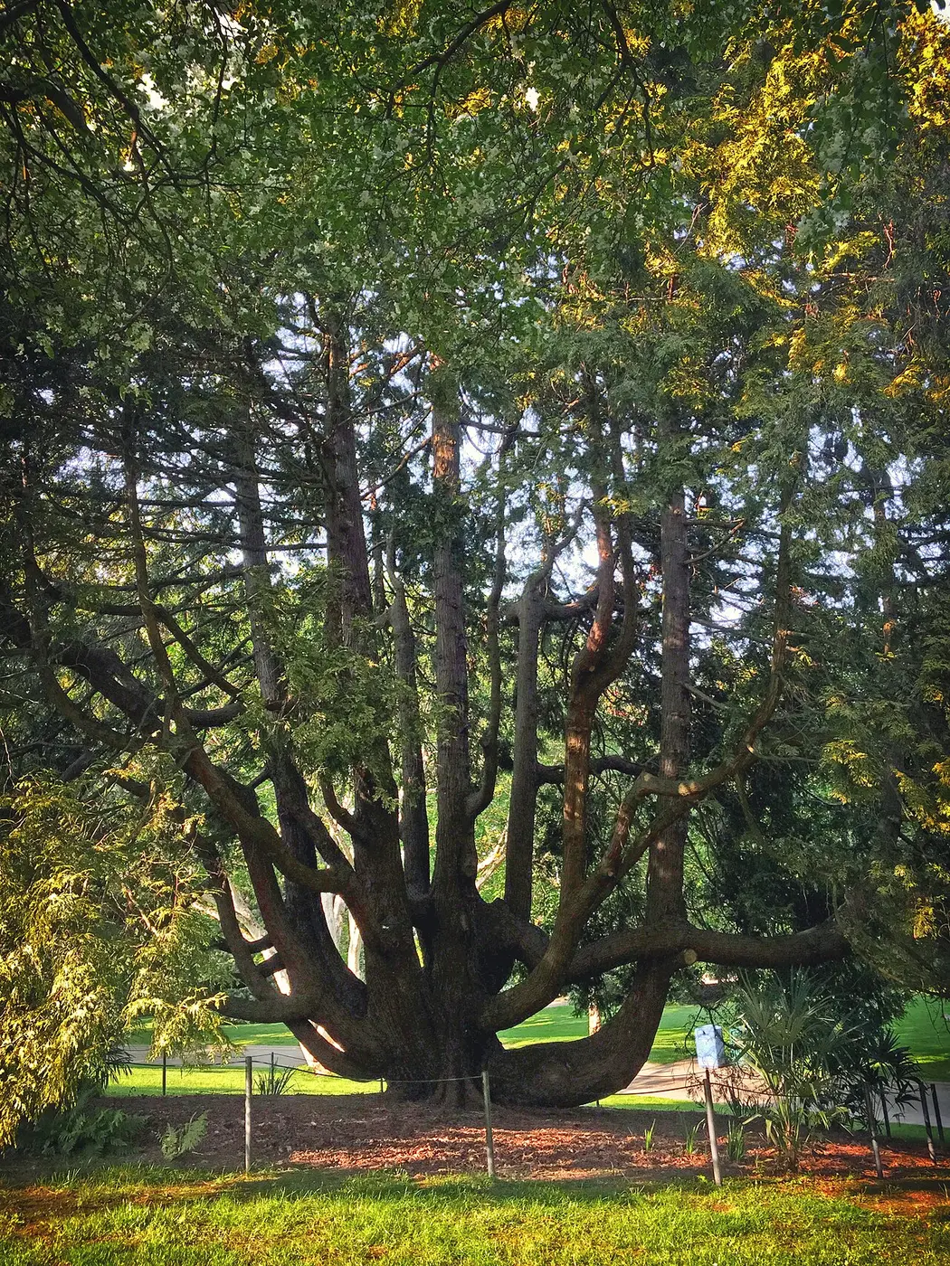 Seattle Botanical Garden Walk — a 3.77 km walking route along real pedestrian paths
