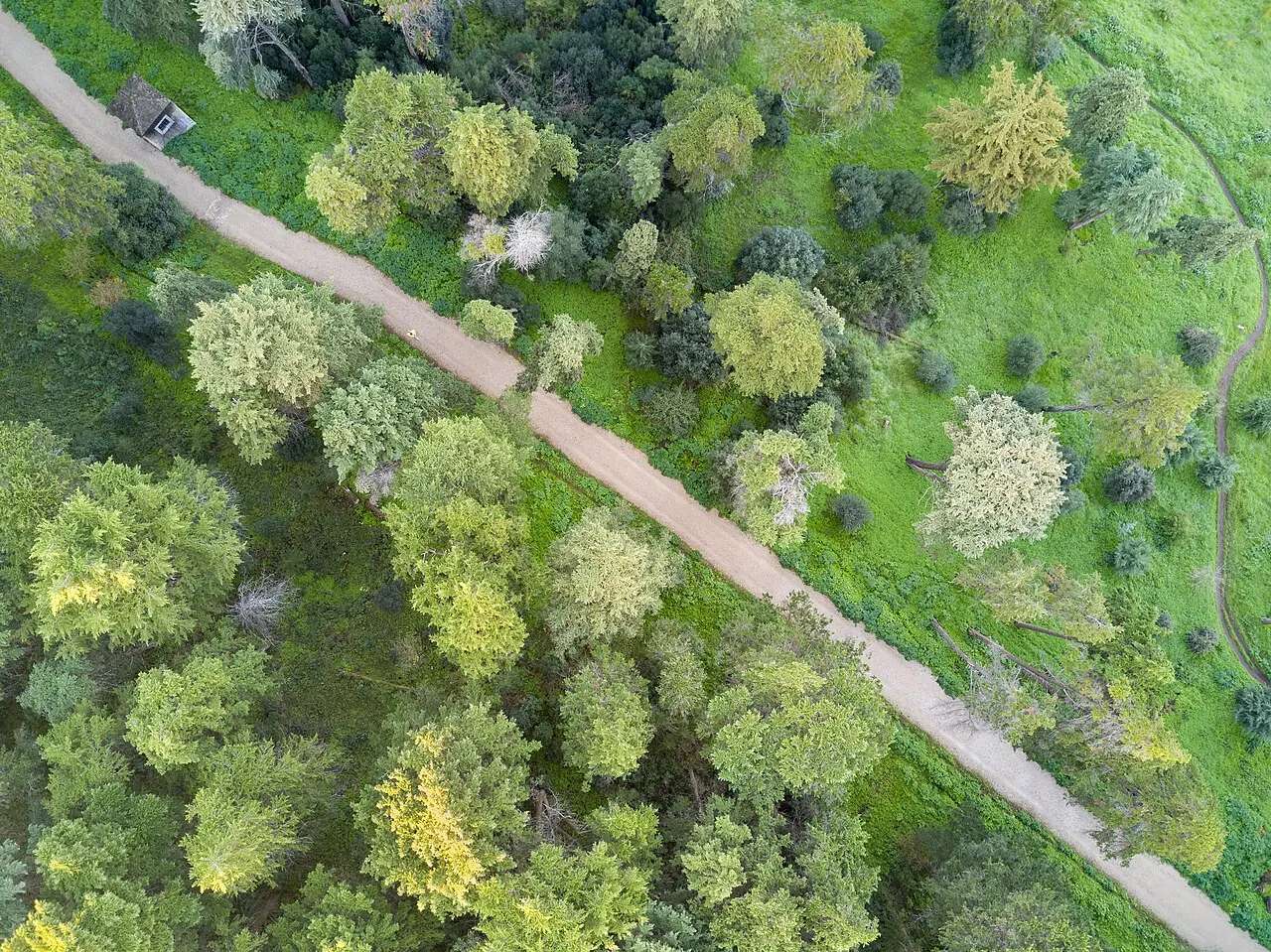 Monsanto Gentle Forest Loop — a 4.16 km walking route along real pedestrian paths