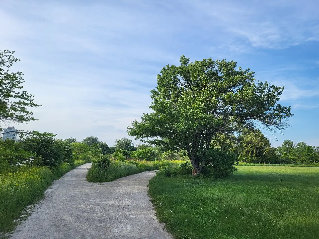 Jackson Park Gentle Paths — a 4.15 km walking route along real pedestrian paths