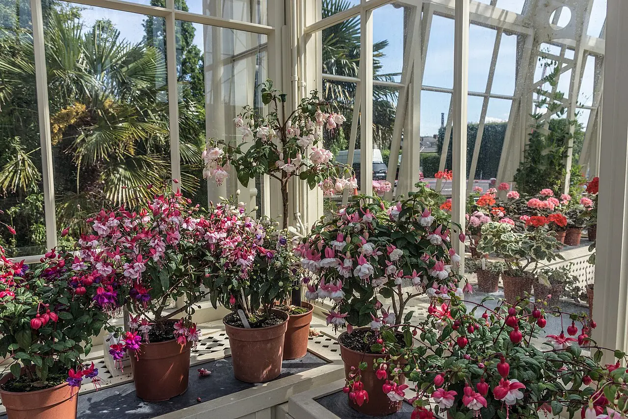 National Botanic Gardens Glasnevin — a 2.03 km walking route along real pedestrian paths