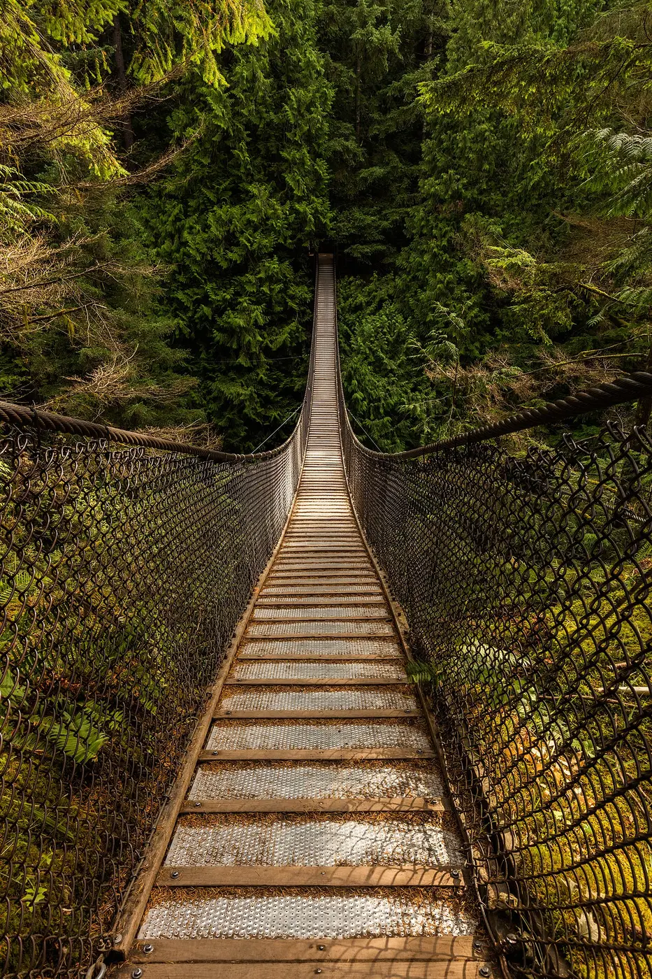 Lynn Canyon Forest & Suspension Bridge — a 4.1 km walking route along real pedestrian paths