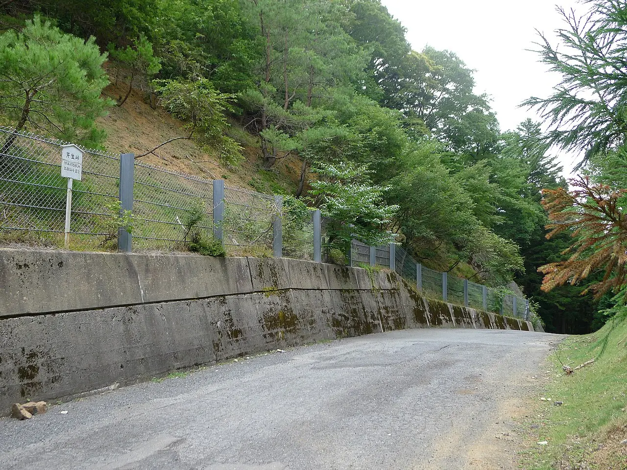 Kurama to Kibune Forest Path — a 6.81 km walking route along real pedestrian paths