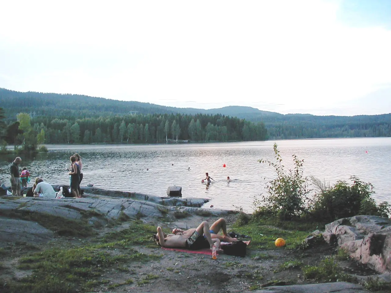 Sognsvann Forest Lake Loop — a 1.4 km walking route along real pedestrian paths